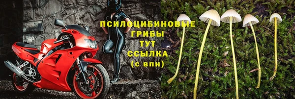 СК Касимов