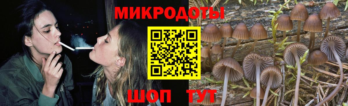 Коркино  Псилоцибиновые грибы Cubensis  Вход с VPN  Псилоцибиновые грибы Cubensis 